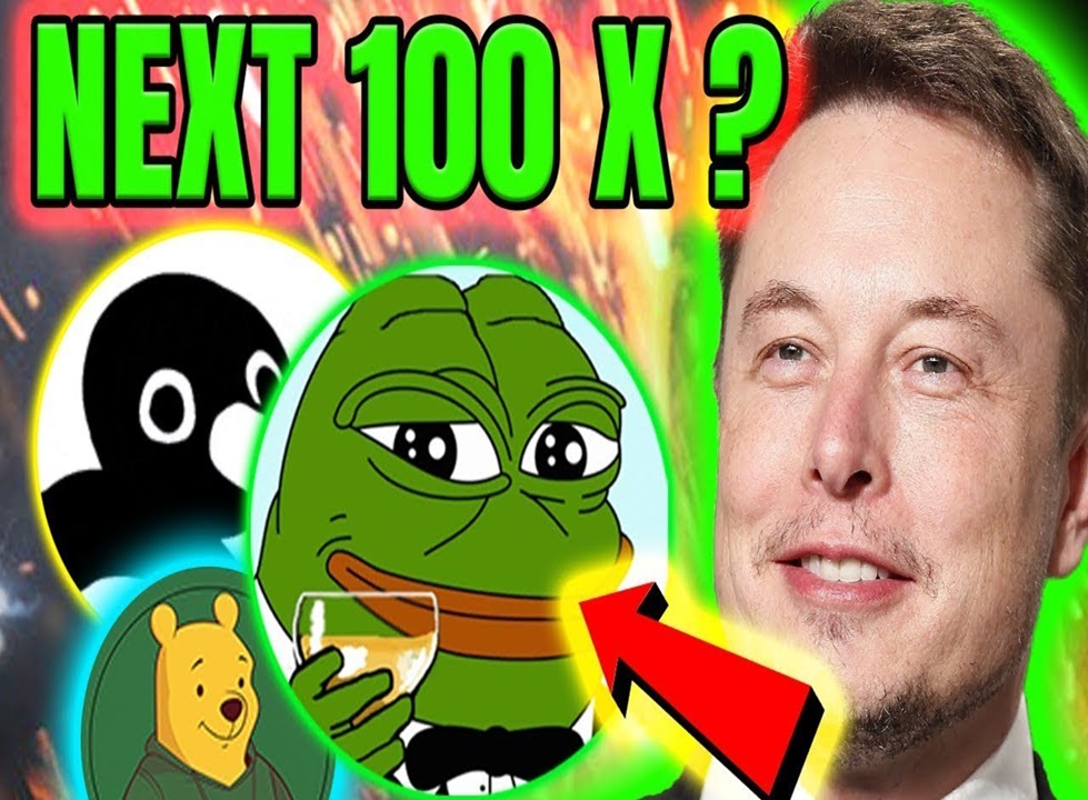 توقعات عملة PEPE تغريدة Elon Musk