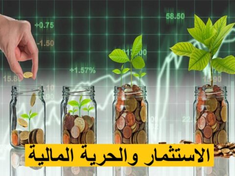 الاستثمار والحرية المالية الاستقلال المالي مصادر الدخل الحرية الاقتصادية الاستثمار الذكي الأمان المالي إدارة الأموال الدخل السلبي الاستقرار المالي خطط التقاعد تنمية الثروة