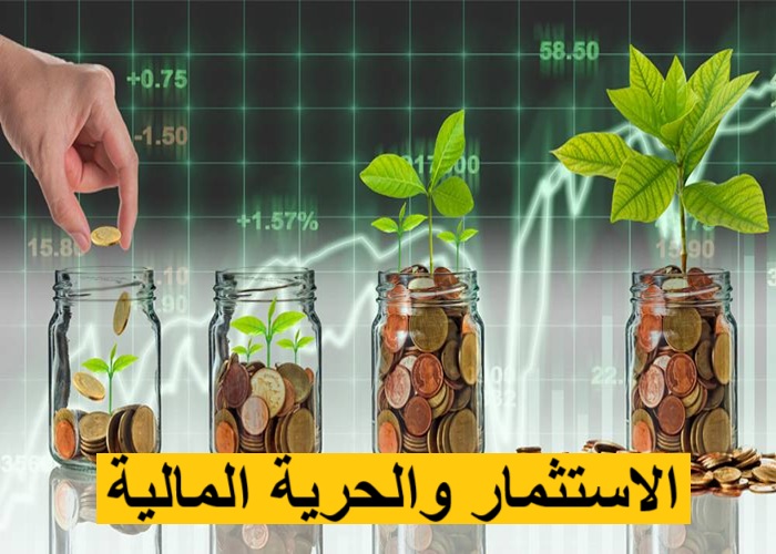 الاستثمار والحرية المالية
الاستقلال المالي
مصادر الدخل
الحرية الاقتصادية
الاستثمار الذكي
الأمان المالي
إدارة الأموال
الدخل السلبي
الاستقرار المالي
خطط التقاعد
تنمية الثروة
