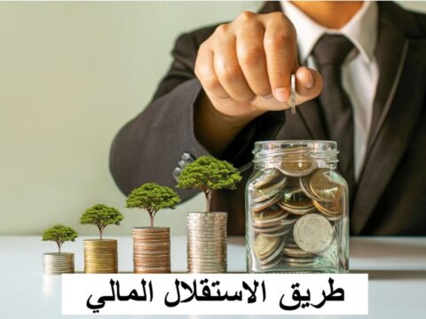 طرق تحقيق الاستقلال المالي، ثقافة مالية
