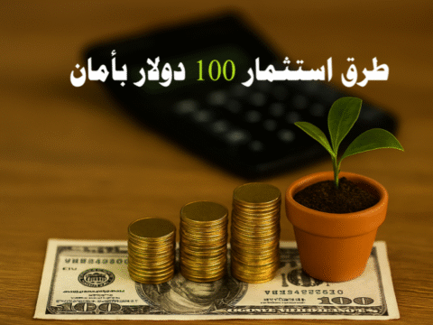 طرق استثمار 100 دولار بأمان استثمار صغير مربح أفضل استثمار بمبلغ بسيط الأسهم الجزئية صناديق الاستثمار المتداولة السندات الحكومية العملات الرقمية الاستثمار في الذهب المشاريع الصغيرة منصات الإقراض الجماعي العمل الجانبي التعليم الذاتي الاستثمار الآمن إدارة المخاطر المالية استثمار للمبتدئين