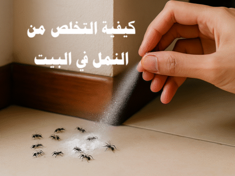 كيفية التخلص من النمل في البيت طرق التخلص من النمل القضاء على النمل مكافحة النمل طرد النمل التخلص من النمل بالطرق الطبيعية التخلص من النمل في المطبخ التخلص من النمل في غرفة النوم التخلص من النمل في الحمام الطعوم الطبيعية للنمل المبيدات المنزلية للنمل الوقاية من النمل