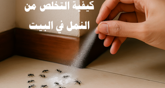 كيفية التخلص من النمل في البيت طرق التخلص من النمل القضاء على النمل مكافحة النمل طرد النمل التخلص من النمل بالطرق الطبيعية التخلص من النمل في المطبخ التخلص من النمل في غرفة النوم التخلص من النمل في الحمام الطعوم الطبيعية للنمل المبيدات المنزلية للنمل الوقاية من النمل